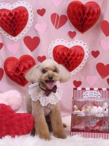 20240229うたちゃん